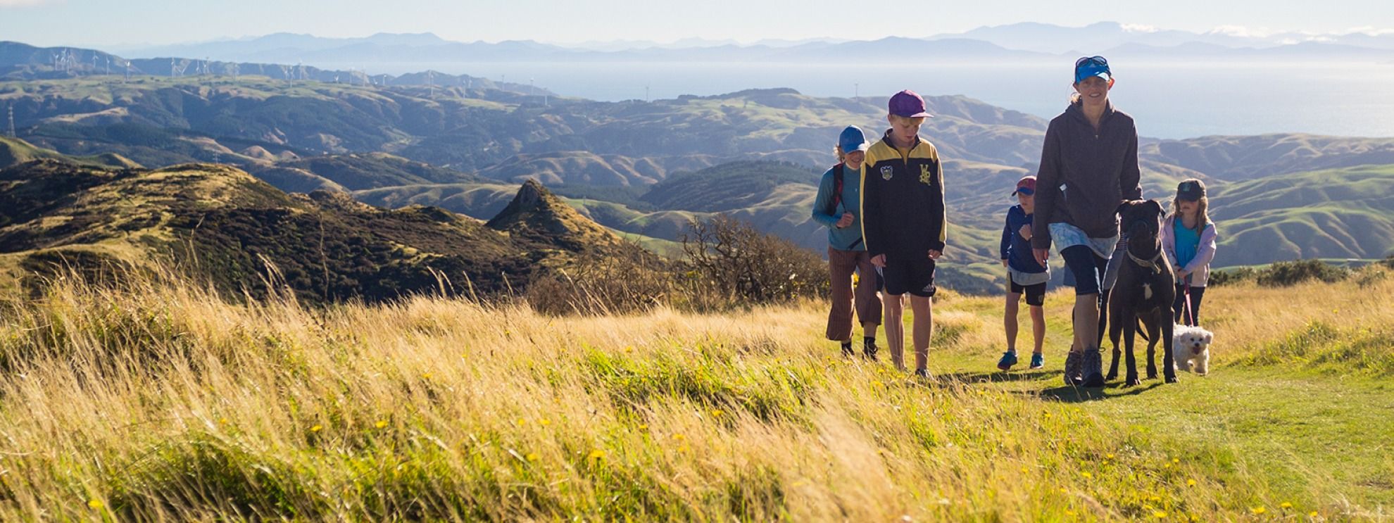 Family walking to top of a hill in New Zealand