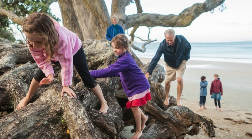 Children playing on a tree by the beach with family looking on