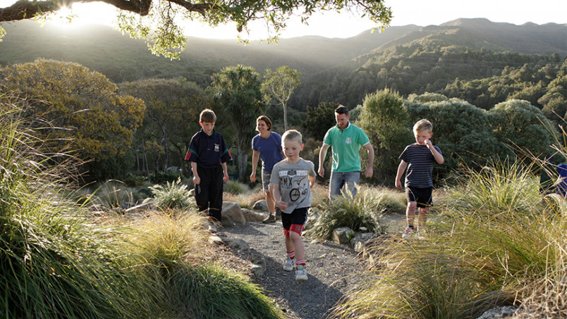 Children from United Kingdom exploring NZ bush