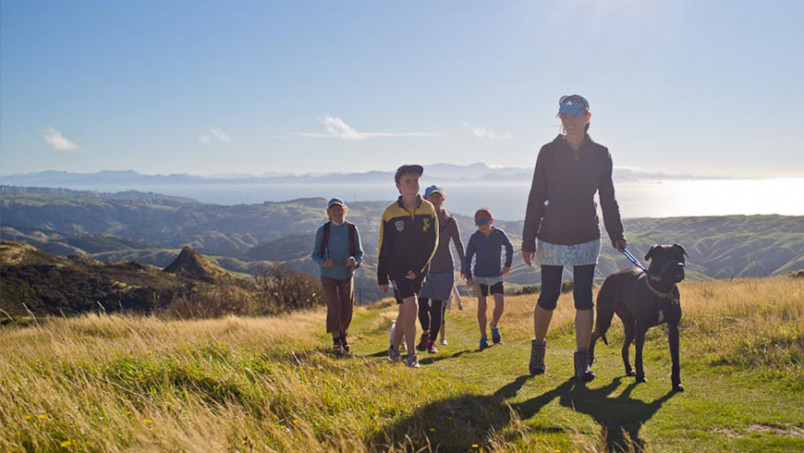 Family walking across the top of a hill in New Zealand
