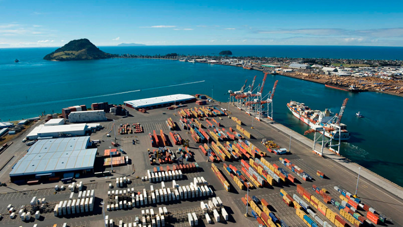 Port of Tauranga during the day